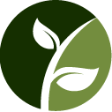 Boxwood Pruning Pros