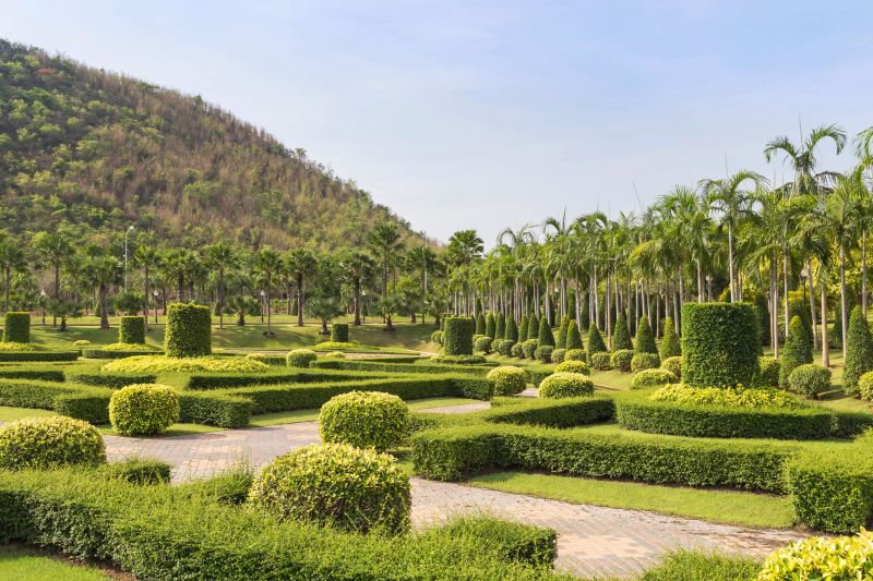 Trimmed Shrubs with Clean Lines