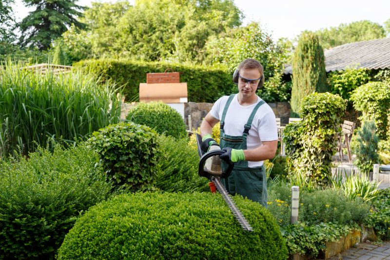 Contact About Boxwood Pruning